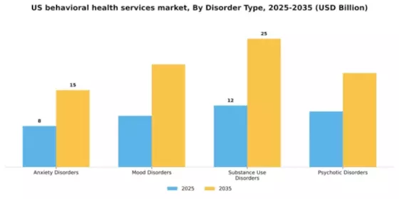 US Behavioral Health Services Market Segment Image 1