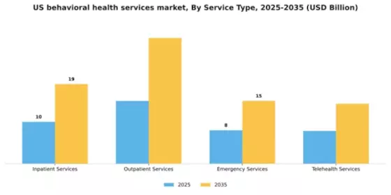 US Behavioral Health Services Market Segment Image 2