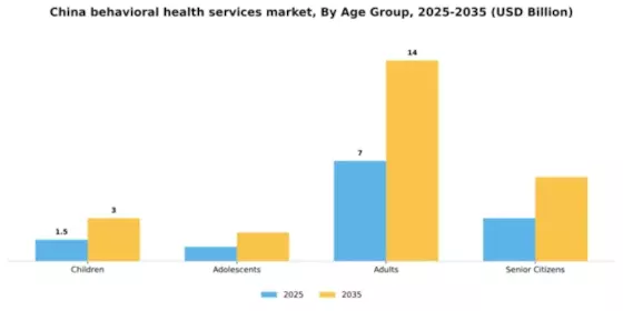 China Behavioral Health Services Market Segment Image 0