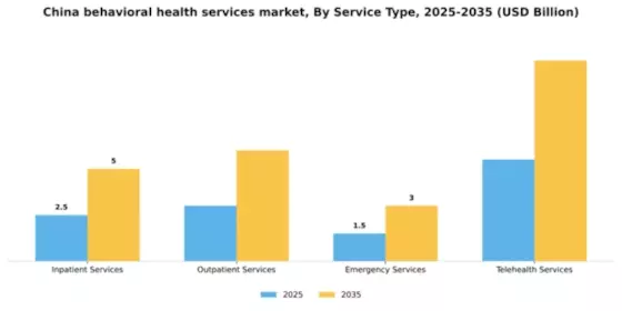 China Behavioral Health Services Market Segment Image 2
