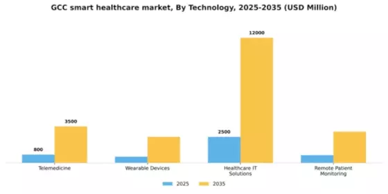 GCC Smart Healthcare Market Segment Image 3