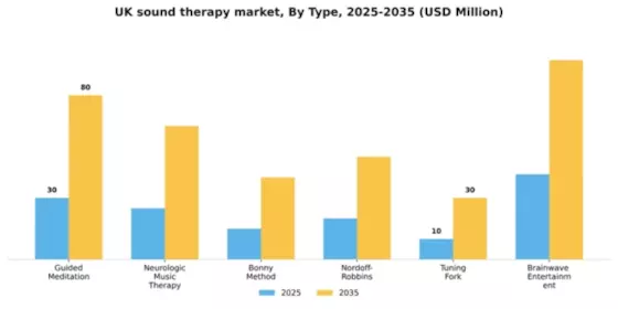 UK Sound Therapy Market Segment Image 1