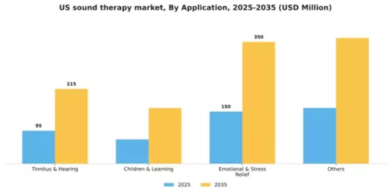 US Sound Therapy Market Segment Image 0