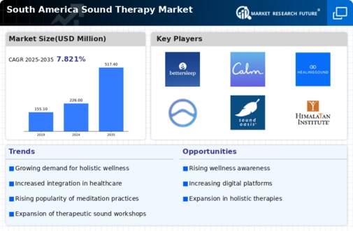 South America Sound Therapy Market Infographic