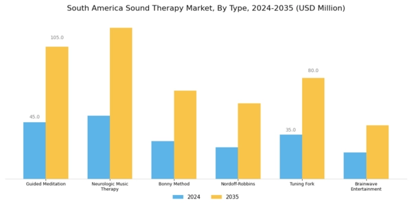 South America Sound Therapy Market Segment Image 0