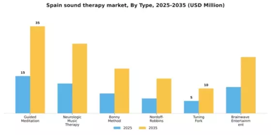 Spain Sound Therapy Market Segment Image 1