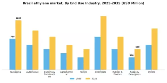 Brazil Ethylene Market Segment Image 1