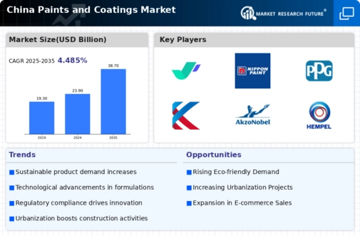 China Paints Coatings Market Infographic