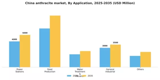China Anthracite Market Segment Image 0