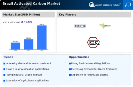 Brazil Activated Carbon Market Infographic