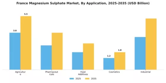France Magnesium Sulphate Market Segment Image 0
