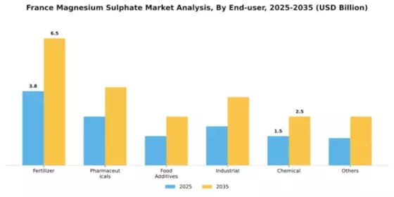 France Magnesium Sulphate Market Segment Image 0