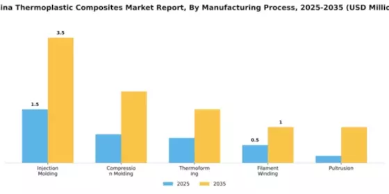 China Thermoplastic Composites Market Segment Image 2