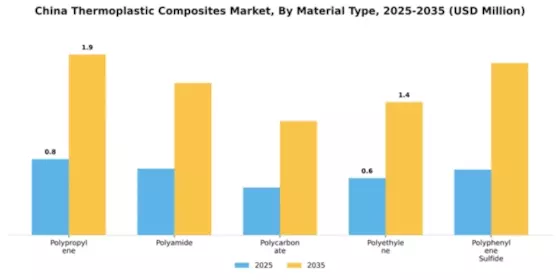 China Thermoplastic Composites Market Segment Image 3