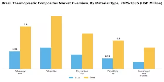 Brazil Thermoplastic Composites Market Segment Image 3