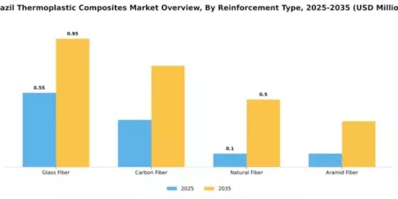 Brazil Thermoplastic Composites Market Segment Image 4
