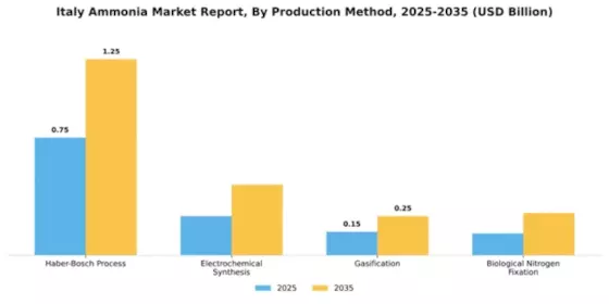 Italy Ammonia Market Segment Image 3