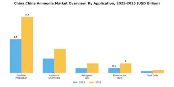 China Ammonia Market Segment Image 0
