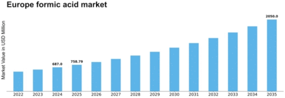 Europe Formic Acid Market Size