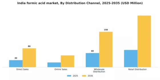 India Formic Acid Market Segment Image 1