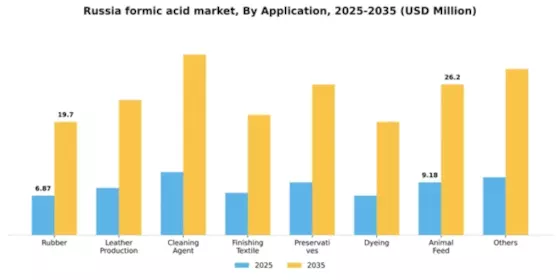 Russia Formic Acid Market Segment Image 0