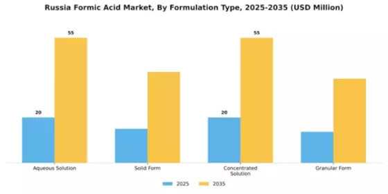 Russia Formic Acid Market Segment Image 3