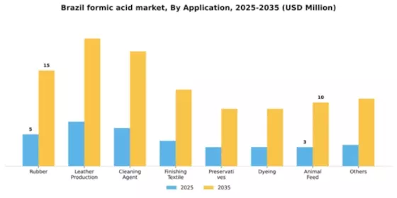 Brazil Formic Acid Market Segment Image 0