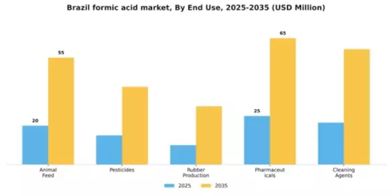 Brazil Formic Acid Market Segment Image 2