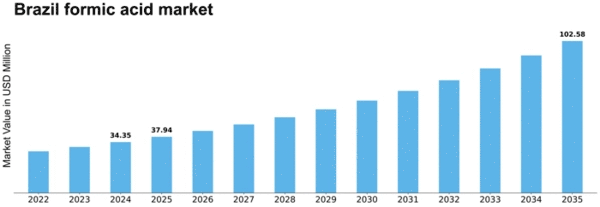 Brazil Formic Acid Market Size
