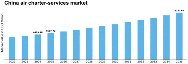 China Air Charter Services Market Size