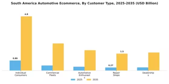 South America Automotive E Commerce Market Segment Image 0
