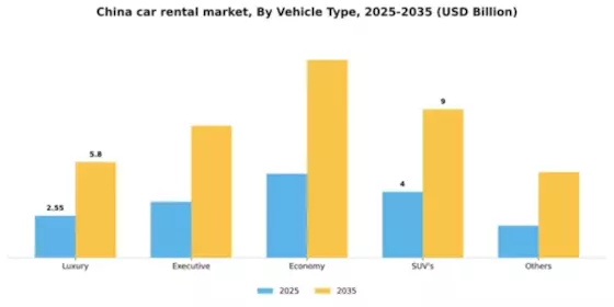 China Car Rental Market Segment Image 4
