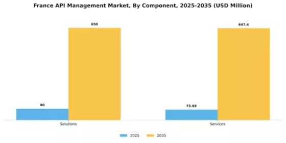 France API Management Market Segment Image 0