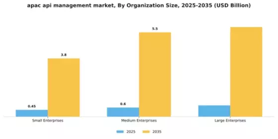APAC API Management Market Segment Image 4