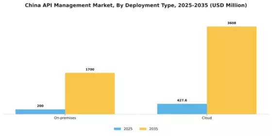 China API Management Market Segment Image 1