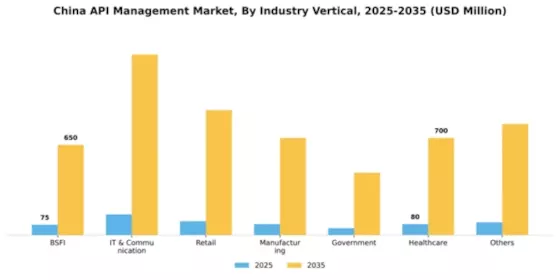 China API Management Market Segment Image 2