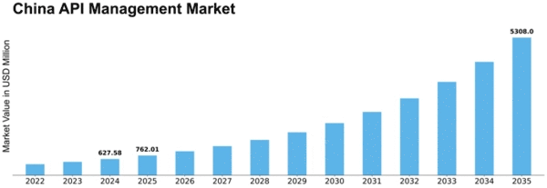 China API Management Market Size