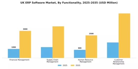 UK ERP Software Market Segment Image 2