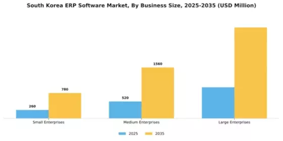 South Korea ERP Software Market Segment Image 0
