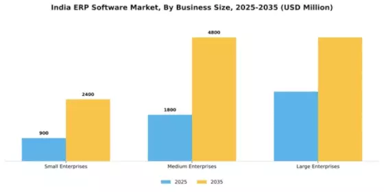 India ERP Software Market Segment Image 0