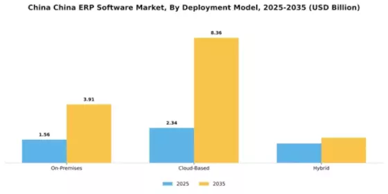 China ERP Software Market Segment Image 1