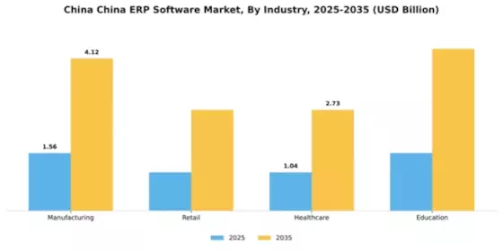 China ERP Software Market Segment Image 3
