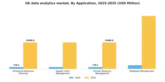 UK Data Analytics Market Segment Image 0