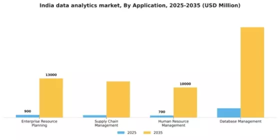 India Data Analytics Market Segment Image 0
