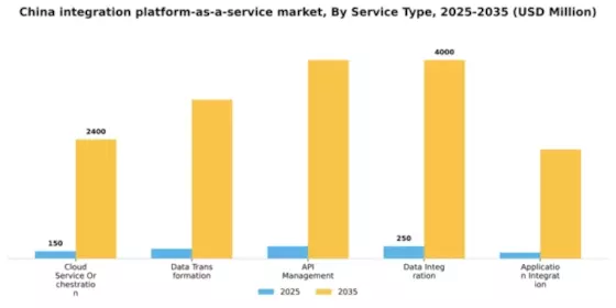 China Integration Platform As A Service Market Segment Image 1