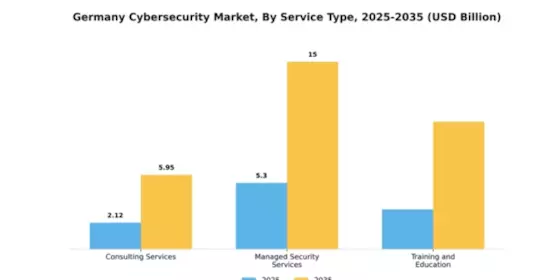 Germany Cybersecurity Market Segment Image 2