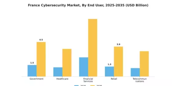 France Cybersecurity Market Segment Image 1