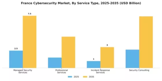 France Cybersecurity Market Segment Image 2