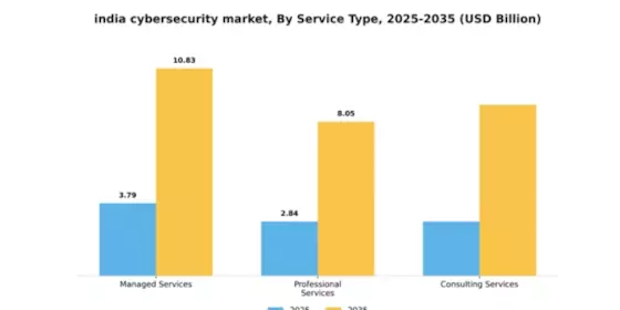 India Cybersecurity Market Segment Image 3