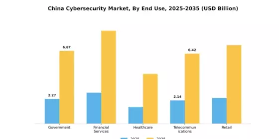 China Cybersecurity Market Segment Image 2